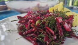 Rezept-20260616