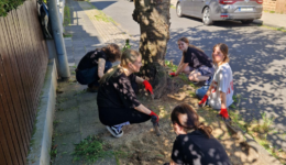 Beitrag Abpflastern 260618 Bild 1