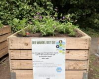 Hochbeete für den Stadtgarten