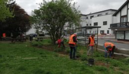 Beitrag Steinhauer April 25 Titelbild