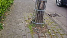 Bericht Abpflastern