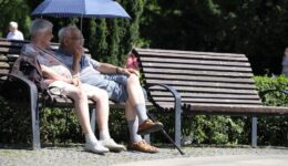 Bild Demokratie Angebot