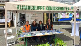 Bild Infostand